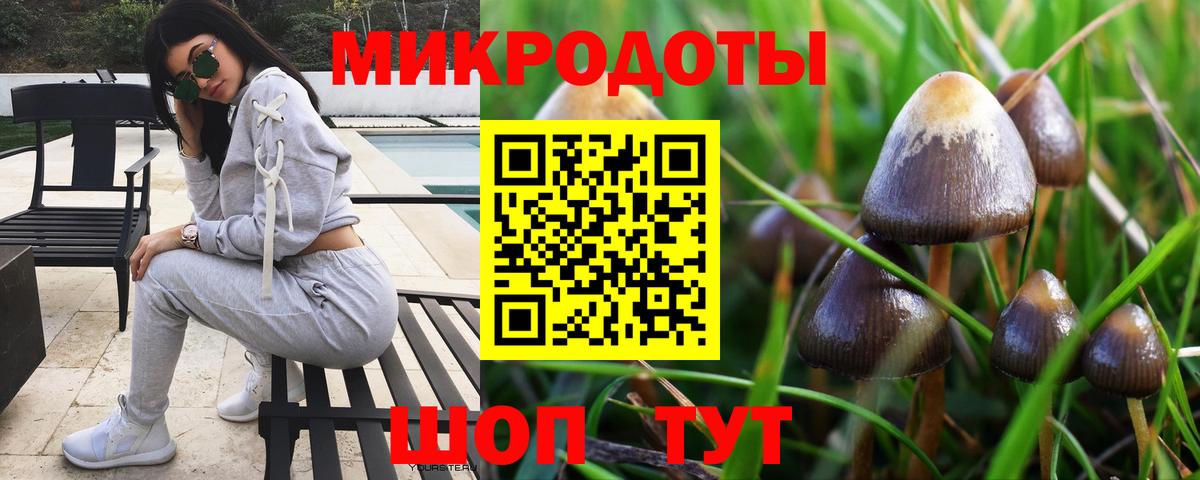 Галлюциногенные грибы мухоморы Кохма